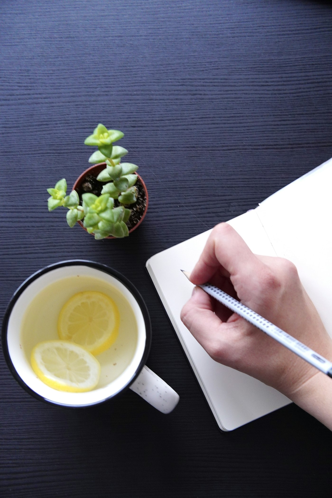 Writing a personal nutrition plan